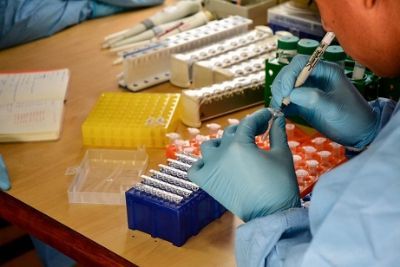 ​Nova subvariante da covid-19 � identificada em Mato Grosso