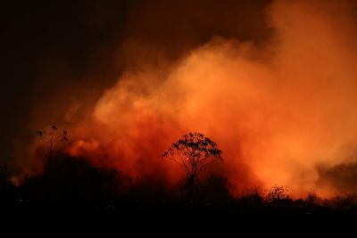 Fogo atinge im�veis, animais e j� destruiu quase 40% do parque de Chapada