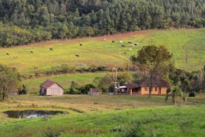 ​Censo Agropecu�rio visita mais de 2 milh�es de propriedades
