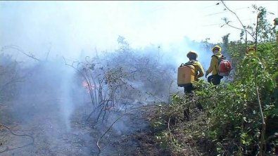 Chuva diminui focos de inc�ndio no Pantanal