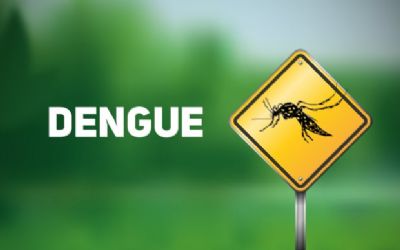 Com 322 mil casos no Pa�s, dengue tem alta de 29% em duas semanas