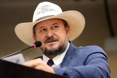 Cattani entrega defesa e parecer ser� emitido por Max at� pr�xima semana