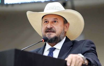 Projeto na ALMT que permite usar gado como garantia de financiamento � aprovado
