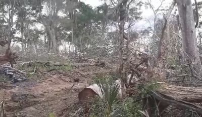 Gefron encontra �rea equivalente a 136 campos de futebol desmatada em MT