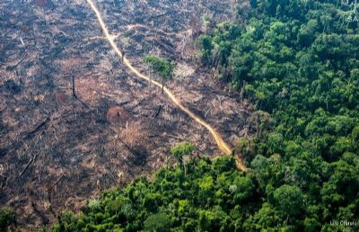 Mato Grosso tem a maior �rea desmatamento dos �ltimos 15 anos