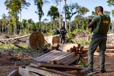 ​MT aplica R$ 1,1 bilh�o em multas ambientais nos primeiros sete meses de 2023