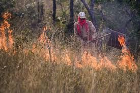 Mato Grosso lidera n�mero de focos de calor em ranking dos estados da Amaz�nia Legal