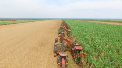 ​Cresce o mercado de drones para agricultura em Mato Grosso