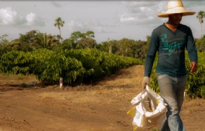 Governo investe R$ 1,6 milh�es no Pr� Caf� para apoiar pequenos cafeicultores