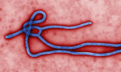 Guin� declara novo surto de ebola