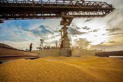 ​STF volta a julgar sexta-feira a contribui��o rural sobre exporta��o