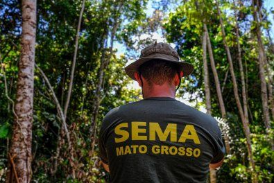MT reduz alerta em 31% alerta de desmatamento ilegal