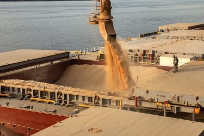 ​Brasil se torna o maior exportador de farelo de soja do mundo