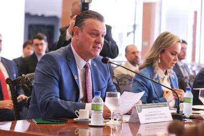 Minist�rios da Fazenda e Agricultura fazem diagn�stico para socorrer produtores de MT