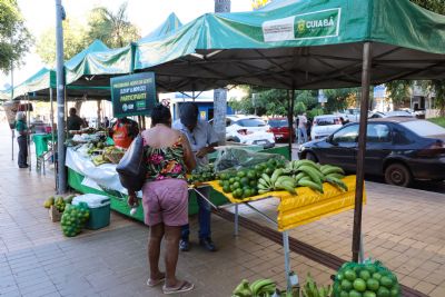 Alimentos org�nicos foram os produtos mais procurados na 2� edi��o da Feira de Agricultura Familiar
