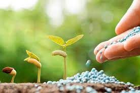 ​CRA avalia incentivo para fertilizantes e regras de licenciamento ambiental