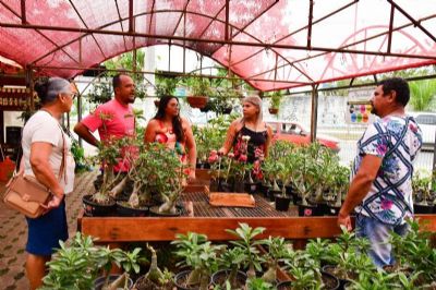 ​3� Festival de Rosas do Deserto e Orqu�deas ter� in�cio na quinta