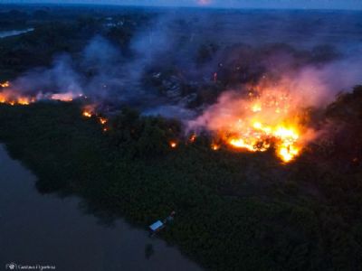​Fogo consome 852 mil hectares do Pantanal e refor�os s�o insuficientes