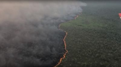 Fogo j� devastou o equivalente a 1,4 milh�o de campos de futebol e matou diversos animais no Pantanal