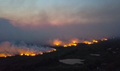 Somente nove focos de inc�ndio causaram 68% das queimadas no Pantanal