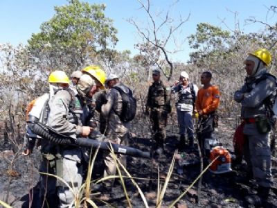 Fogo destr�i parte do Parque Estadual Serra Azul e bombeiro cr� em inc�ndio criminoso