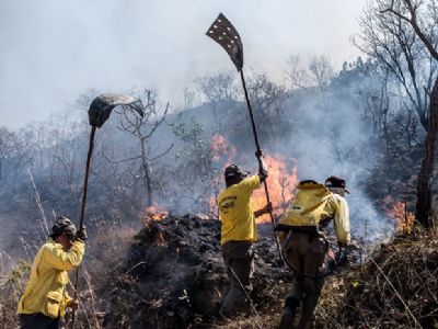 MT tem mais de 14 mil focos de inc�ndio entre janeiro e setembro, segundo Inpe