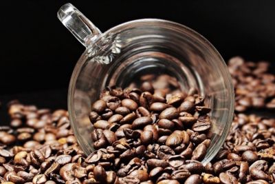 ​Pesquisadores e cafeicultores avaliam 50 clones de caf� em Sinop