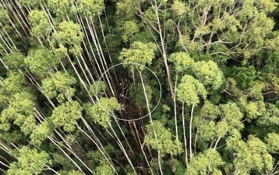 ​PM confirma que localizou helic�ptero desaparecido h� 12 dias
