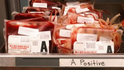 MT Hemocentro lan�a agenda online de doa��es de sangue para facilitar ades�es