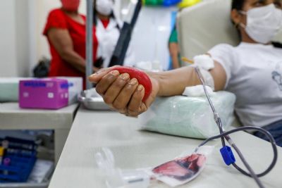 Hemocentro celebra Dia do Doador de Sangue com homenagens e campanha de conscientiza��o