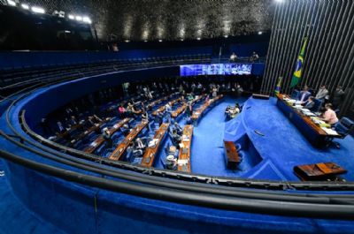 ​Adicional de insalubridade para gestantes deve ser votado na ter�a (18)