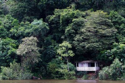 Mercado de carbono ser� debatido na Comiss�o sobre Mudan�as Clim�ticas