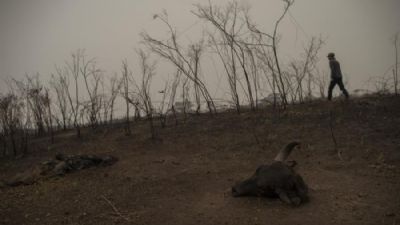 PF j� tem provas para indiciar fazendeiros de MS por queimadas no Pantanal