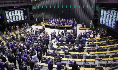 C�mara aprova segundo projeto de regulamenta��o da reforma tribut�ria