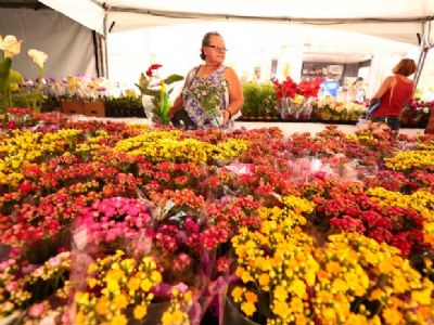 Feira de Flores de Holambra chega a Cuiab�