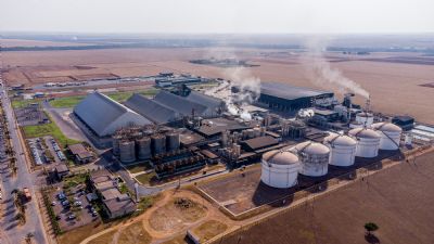 Produ��o de biomassa deve crescer em MT com avan�o industrial