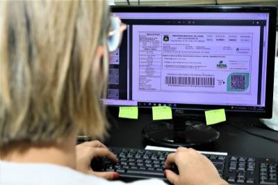 Parcela �nica com desconto de 10% ou parcelamento do IPTU 2023 vence hoje