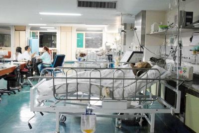 Novos crit�rios definem morte encef�lica e afetam doa��o de �rg�os