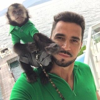 Twelves, macaco de Latino, morre atropelado; cantor est� arrasado