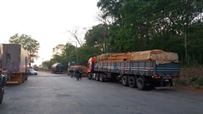 Pol�cia Civil cumpre buscas em investiga��es sobre fraudes na fiscaliza��o, com�rcio e transporte de madeiras