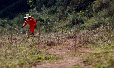 Estudos mostram caminhos para recuperar solo com rejeitos em Mariana (MG)