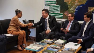 Mauro e Marina Silva criam grupo de trabalho para viabilizar investimentos