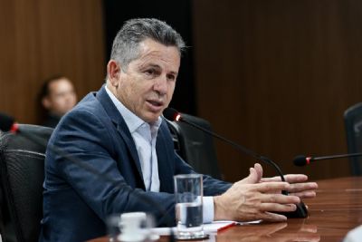 ​Mendes envia a ALMT projeto de lei que endurece puni��o a desmatadores