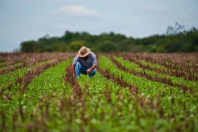 Senado aprova MP do Agro e texto vai � san��o presidencial