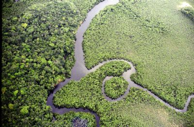 Sema acolhe 70% das recomenda��es do MPE sobre o Programa de Regulariza��o Ambiental em MT
