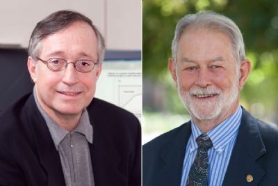 Paul Milgrom e Robert Wilson ganham Nobel de Economia 2020