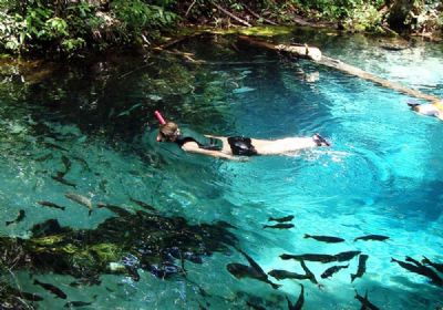 Governo busca solu��es para financiar o turismo em Nobres