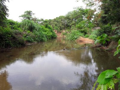 Rotary Club e prefeitura vistoriam mata ciliar dos rios que cortam Nobres