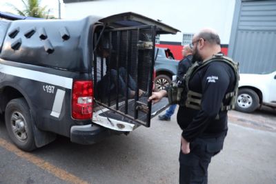 Pol�cia Civil cumpre 244 ordens judiciais contra organiza��o criminosa