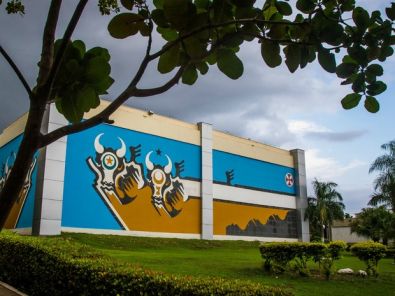 MT precisa de R$ 600 mi para garantir sal�rios em 2017